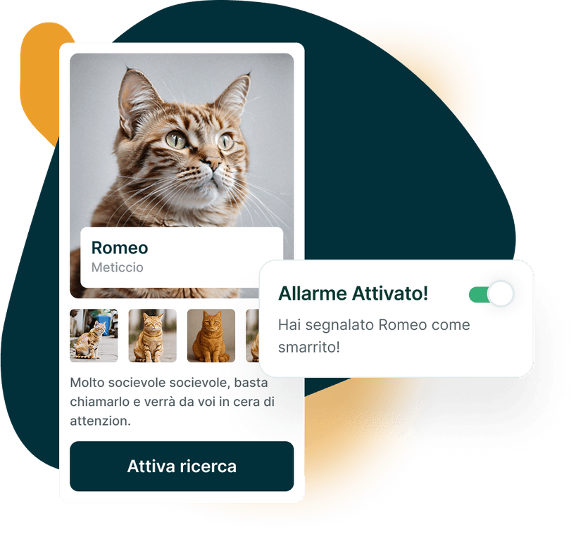 Gatto