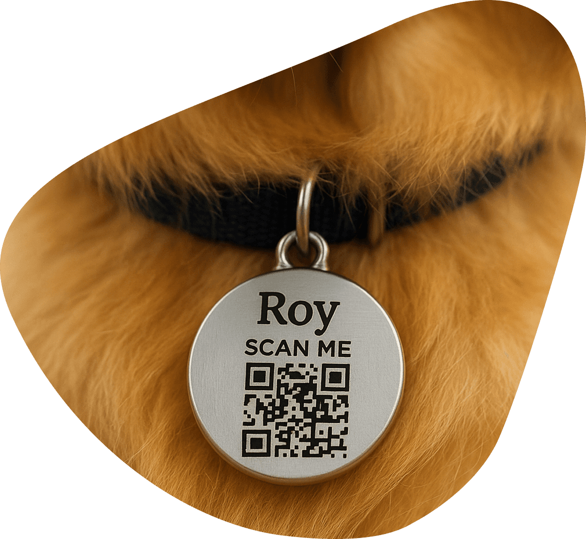 Dimostrazione della funzionalità di aggiornamento della medaglietta QR