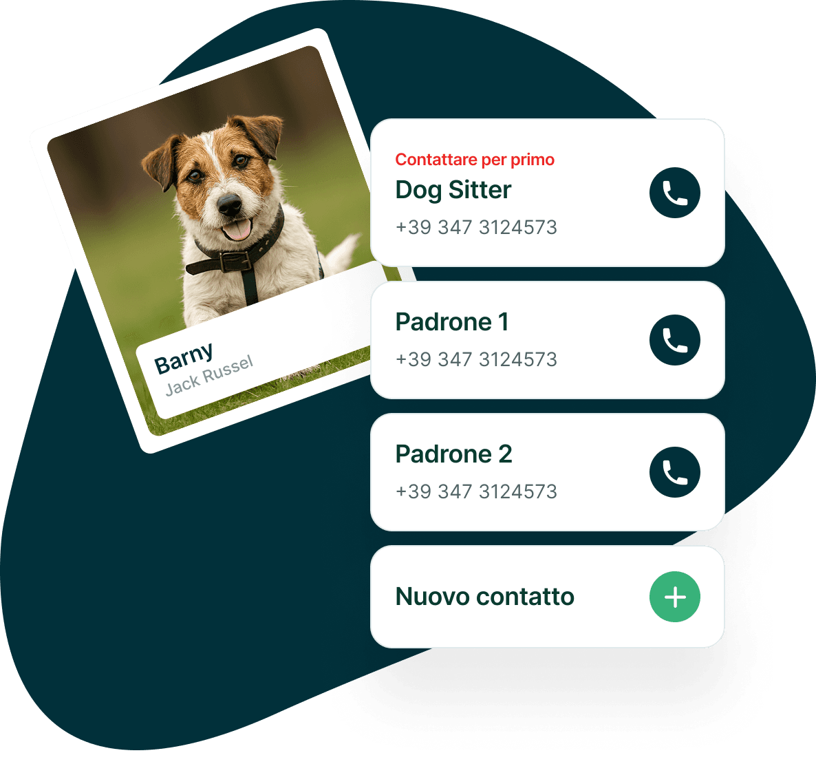 Sistema di contatto intelligente per animali smarriti
