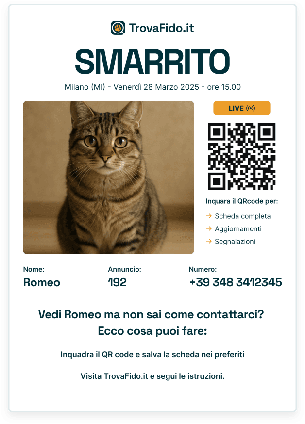 Esempio di volantino A4