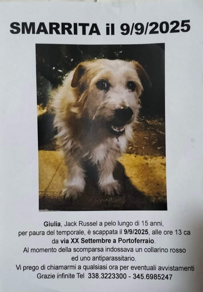 Giulia - Miniatura 3