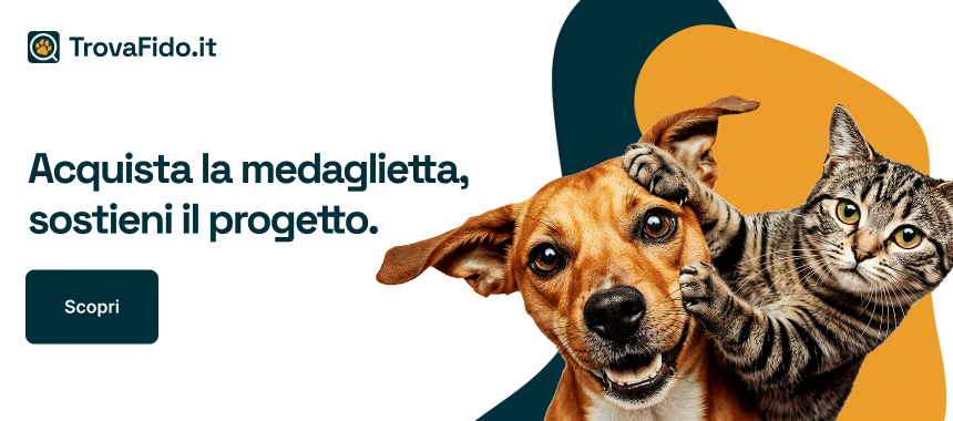 Banner per medaglietta TrovaFido